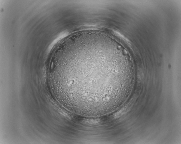 X0000060781411200511171231