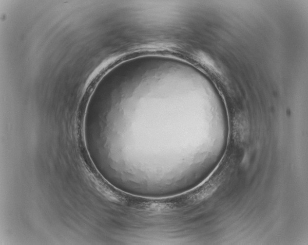 X0000060781412200511171231