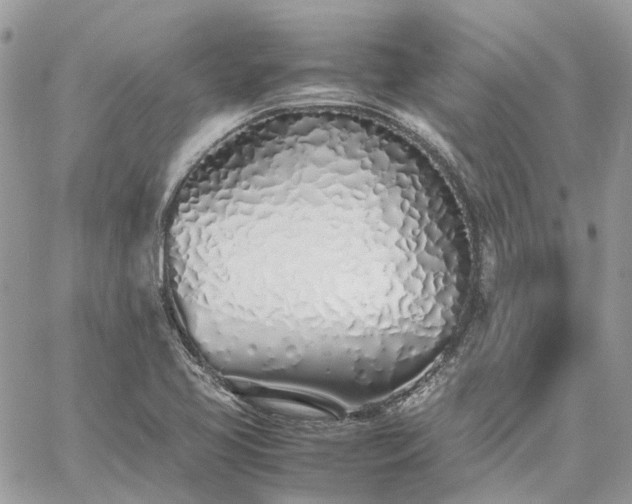 X0000060781413200511171231