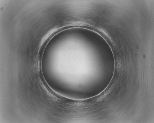 X0000060781414200511171231