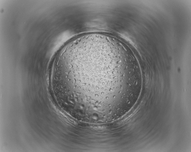 X0000060781415200511171231