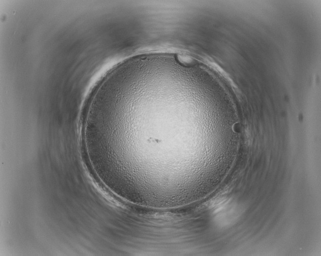 X0000060781416200511171231