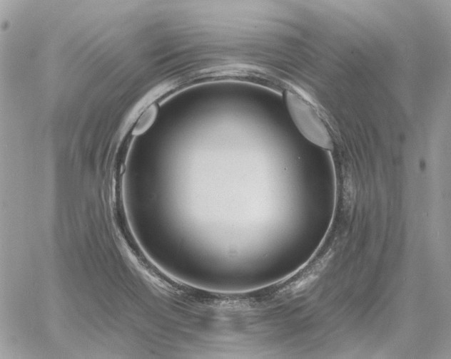 X0000060781418200511171231