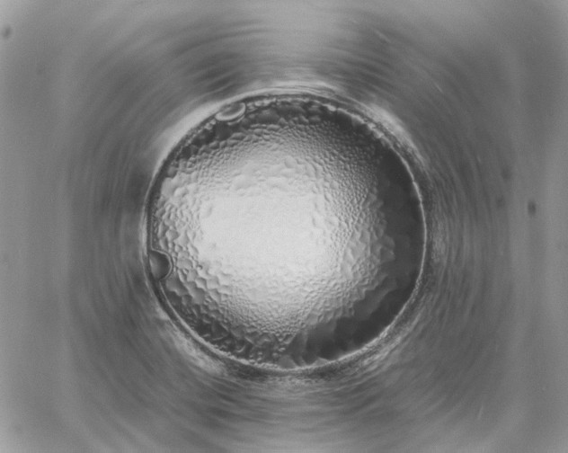 X0000060781420200511171231