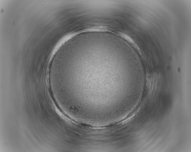 X0000060781421200511171231