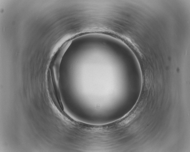 X0000060781422200511171231