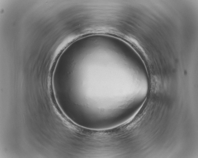 X0000060781424200511171231