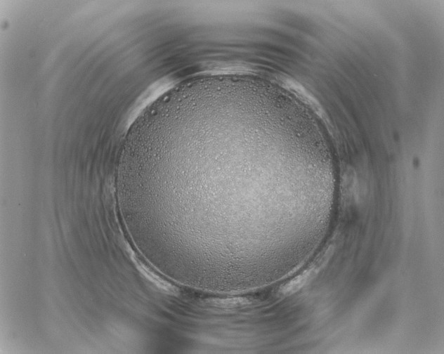 X0000060781425200511171231