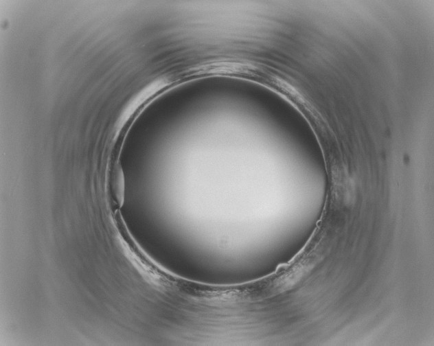 X0000060781426200511171231