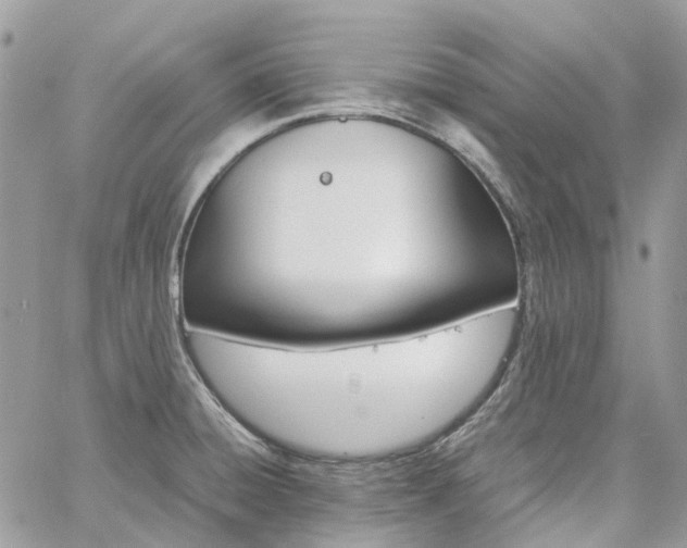 X0000060781428200511171231