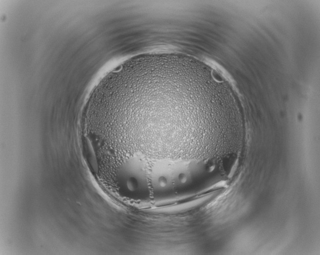 X0000060781429200511171231