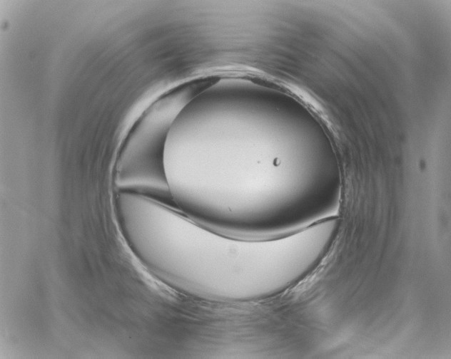 X0000060781430200511171231