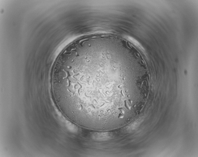 X0000060781431200511171231