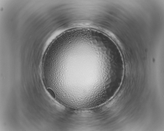 X0000060781432200511171231