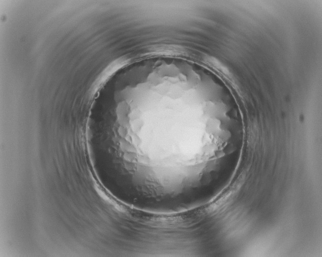 X0000060781433200511171231