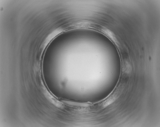 X0000060781434200511171231