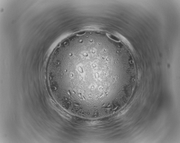 X0000060781435200511171231