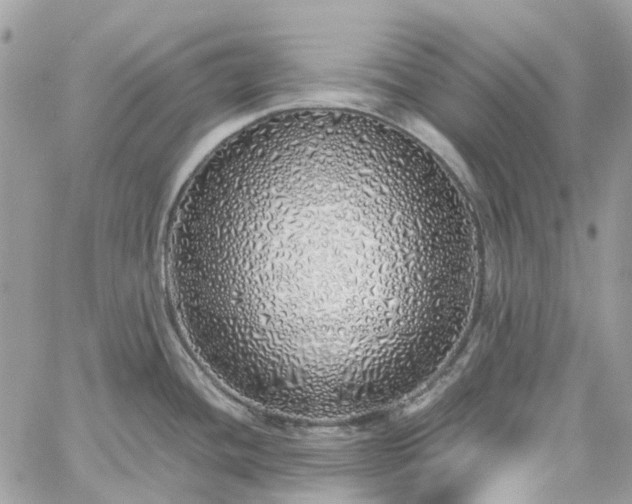 X0000060781436200511171232