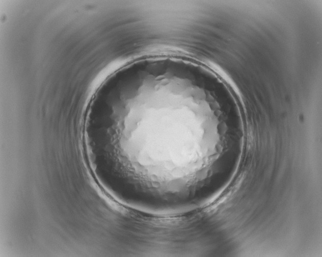 X0000060781437200511171232