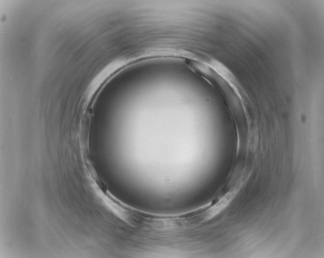 X0000060781438200511171232