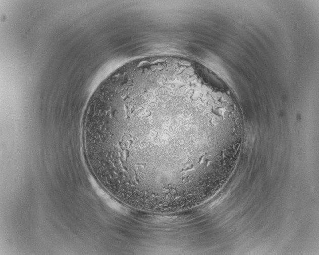 X0000060781439200511171232