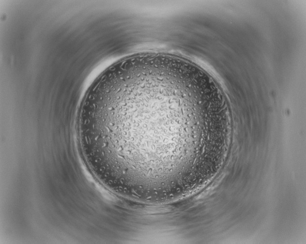 X0000060781440200511171232