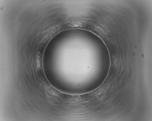 X0000060781442200511171231