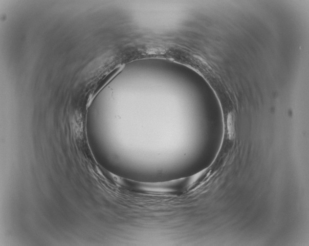 X0000060781443200511171231