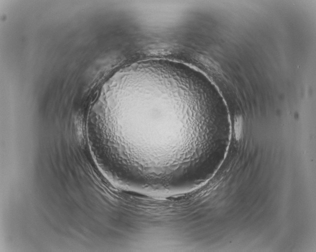 X0000060781444200511171231