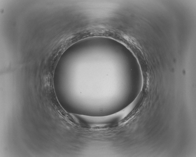 X0000060781445200511171231