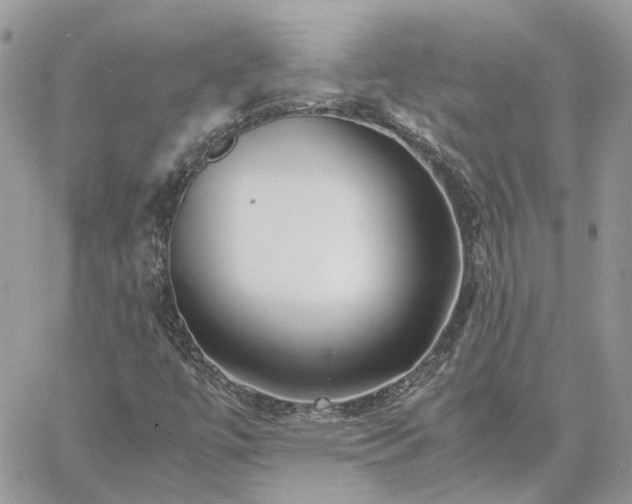 X0000060781447200511171231