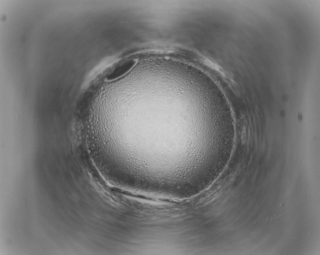 X0000060781448200511171231