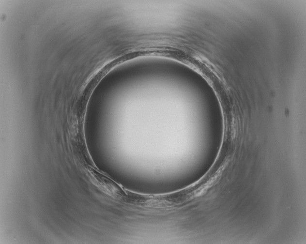 X0000060781449200511171231