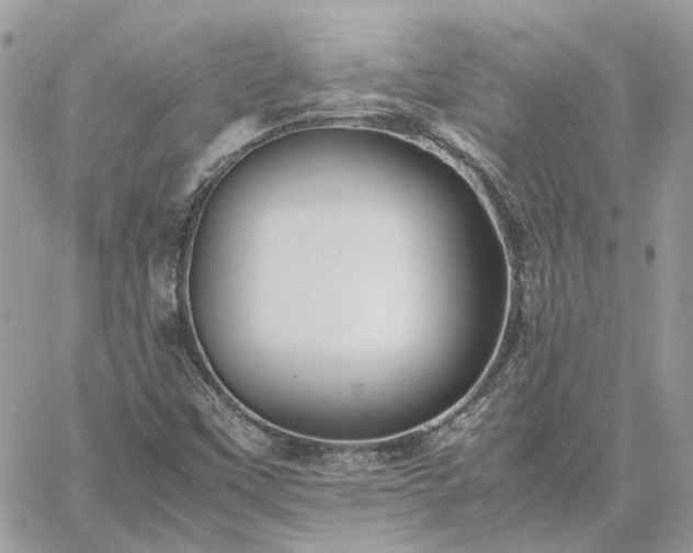 X0000060781451200511171231