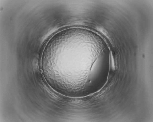 X0000060781452200511171231