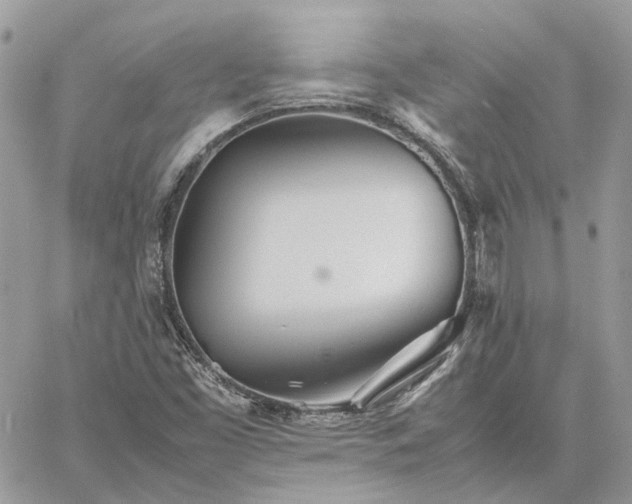 X0000060781453200511171231