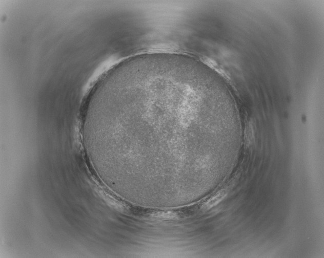 X0000060781454200511171231