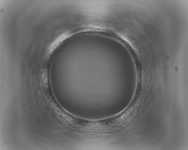 X0000060781455200511171231