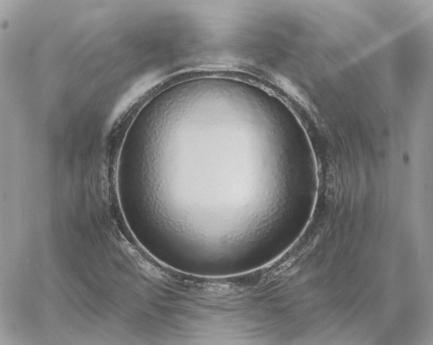 X0000060781456200511171231