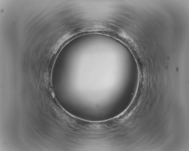 X0000060781457200511171231