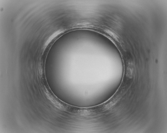 X0000060781458200511171231