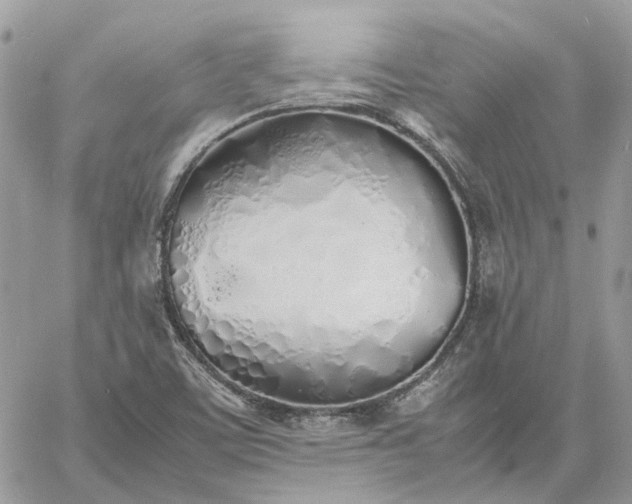 X0000060781459200511171230