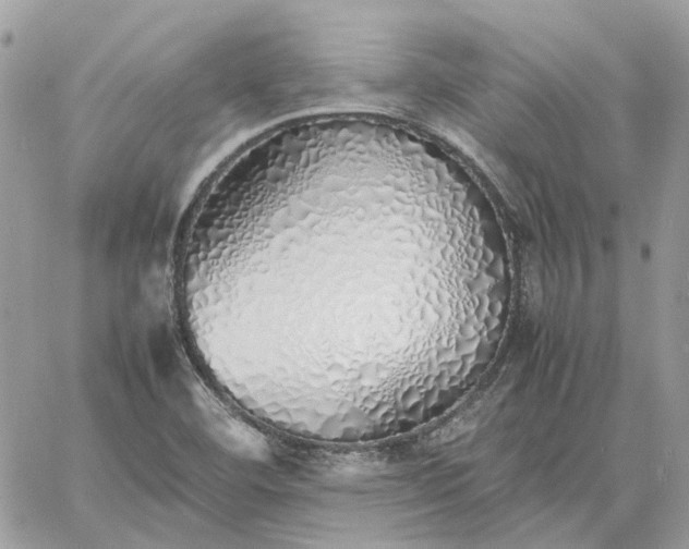 X0000060781460200511171230