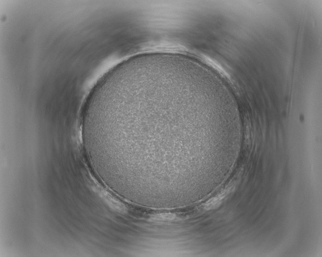 X0000060781462200511171230