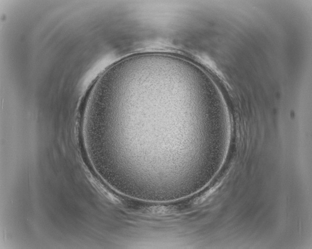 X0000060781463200511171230