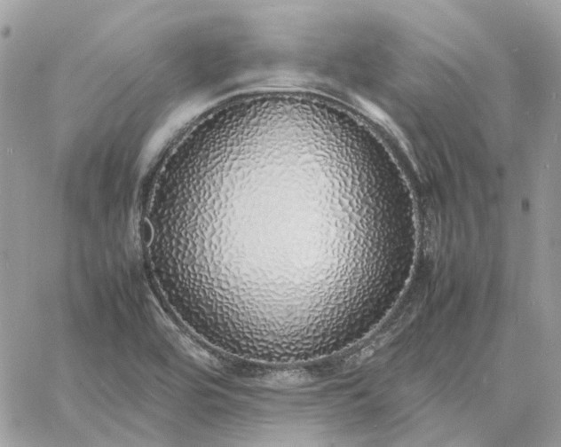 X0000060781464200511171230