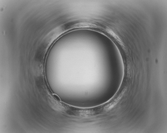 X0000060781465200511171230