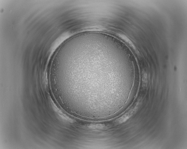 X0000060781466200511171230