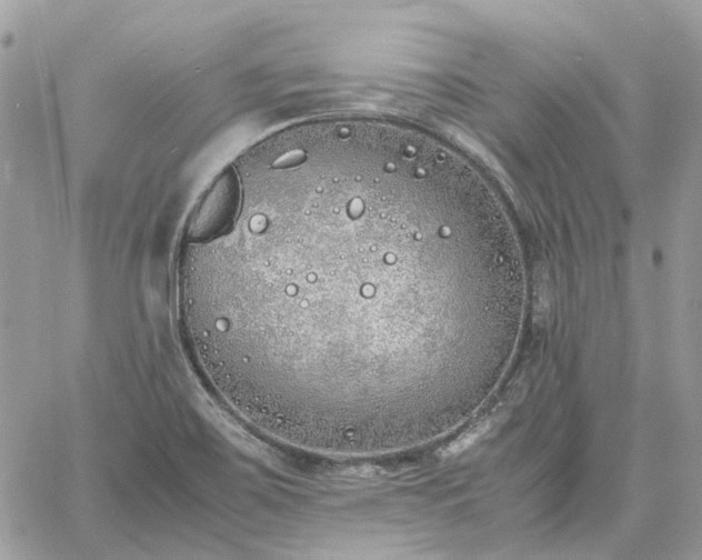 X0000060781467200511171230