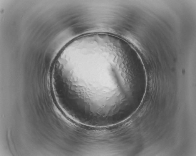 X0000060781468200511171230